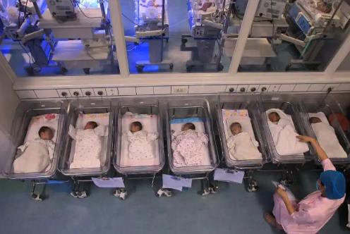 现在生育率越来越低，并不是最可怕的，毕竟每年也有700多万。更可怕的是，最喜欢生