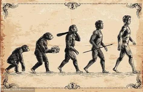 为什么人类进化了好几千年，漂亮依然是稀缺的呢？人类经过数百万年演化，外貌吸引力