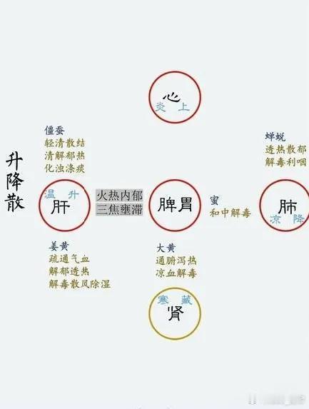学习经典🌞✍️升降散是中医史上具有重要地位的经典方剂，出自清代杨栗山所著