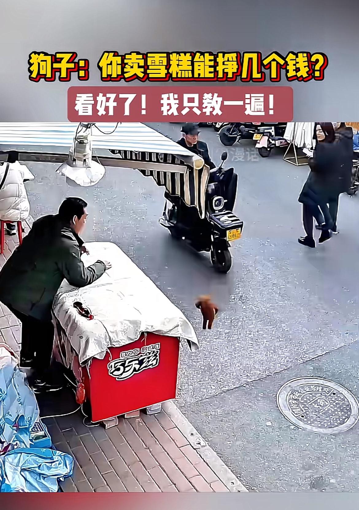 前几天路过巷口的雪糕店，撞见特别离谱的一幕。老板家的黄狗子本来趴在收银台旁边陪