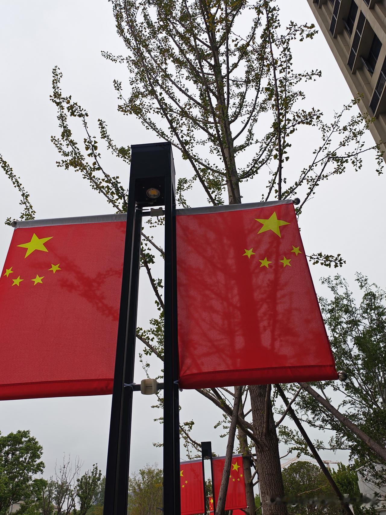 国庆安排谁拍板？这事儿可太有得聊了！一、“规则派”家长：假期安排是教育的一