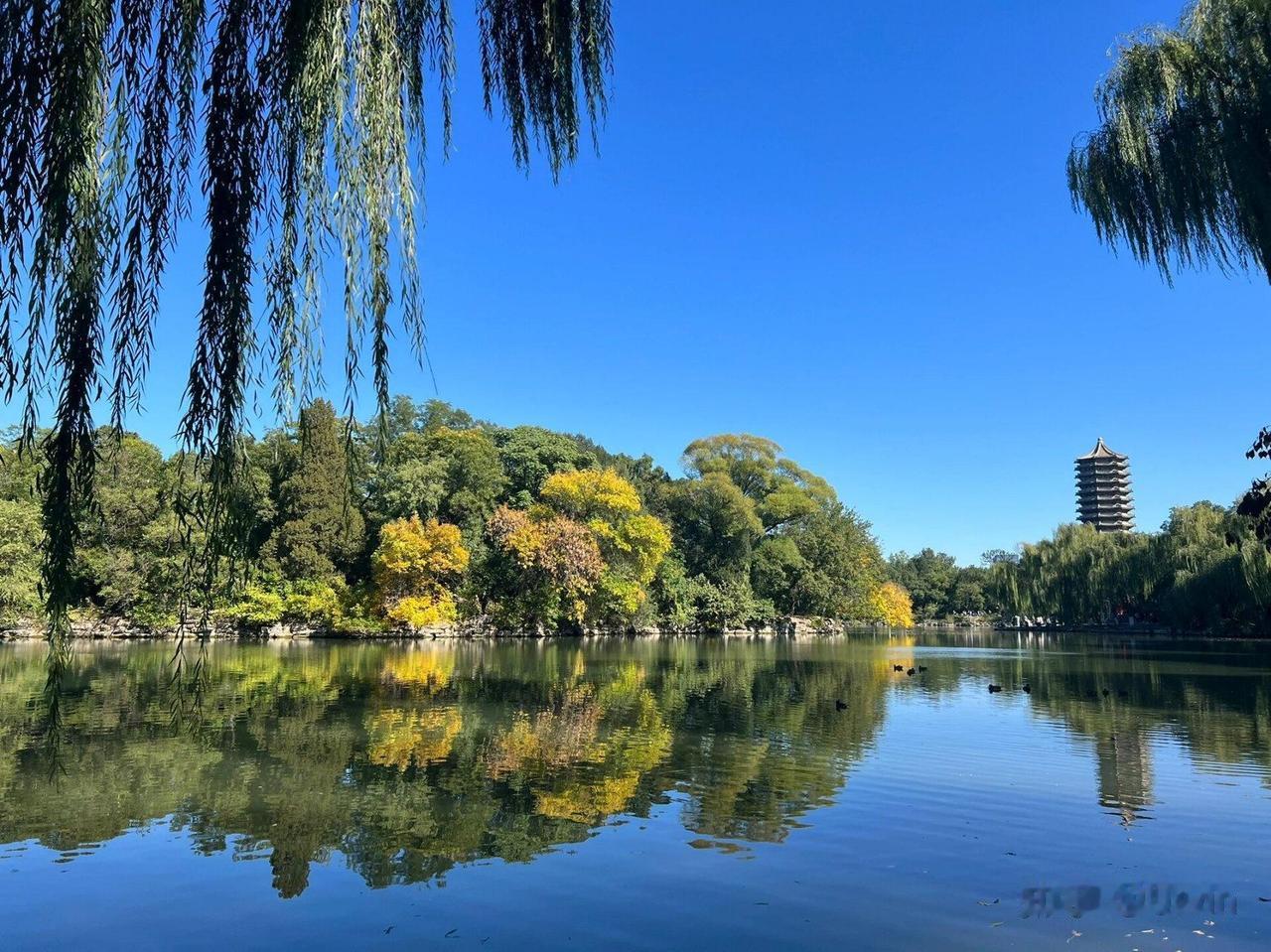 全国31省份大学教师平均年收入排行榜单位：元/年排名省份平均年收