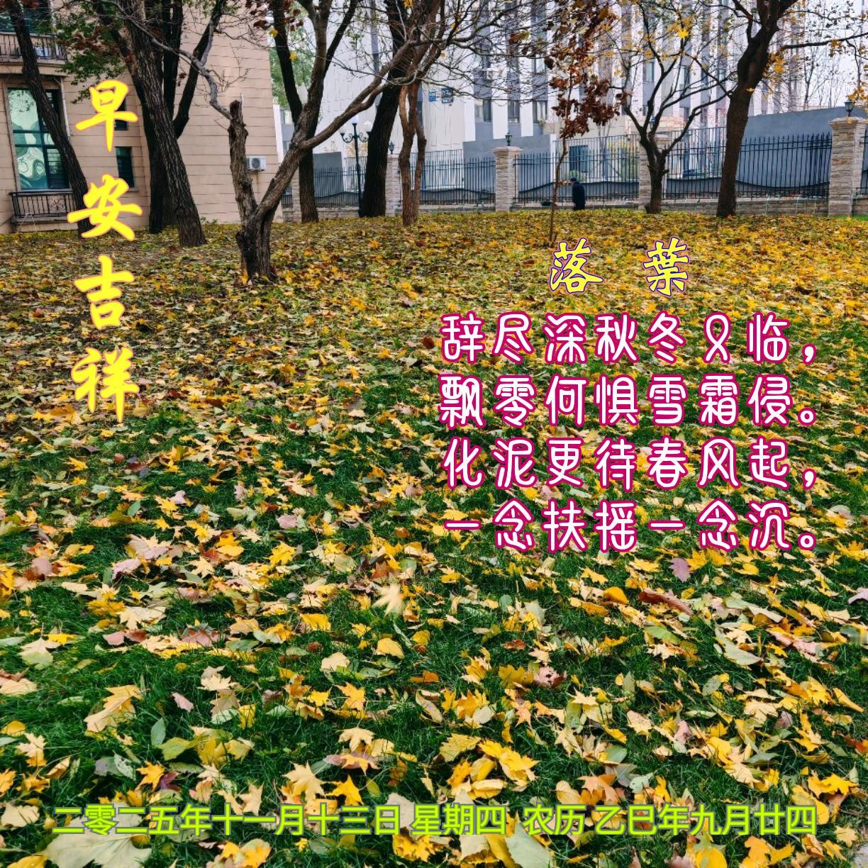 《落叶》辞尽深秋冬又临，飘零何惧雪霜侵。化泥更待春风起，一念扶摇一念沉。