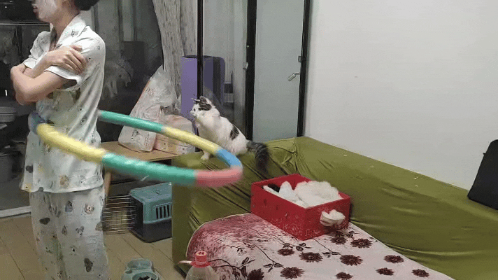 你瞅瞅这铲屎官搁家转呼啦圈，正搁那儿吭哧瘪肚地锻炼呢！你再看他家那猫，蹲沙发上看