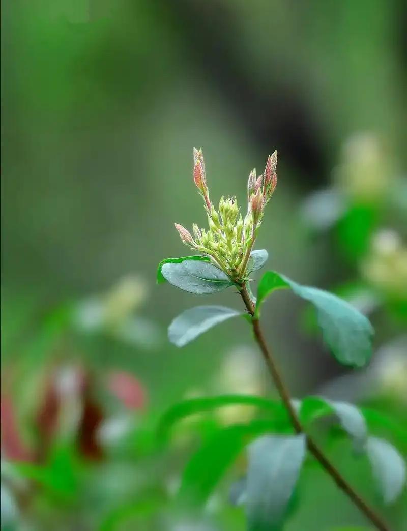 转运的六个小秘诀：其实好运这件事，很多时候是自己"说"出来的。1、住哪儿，