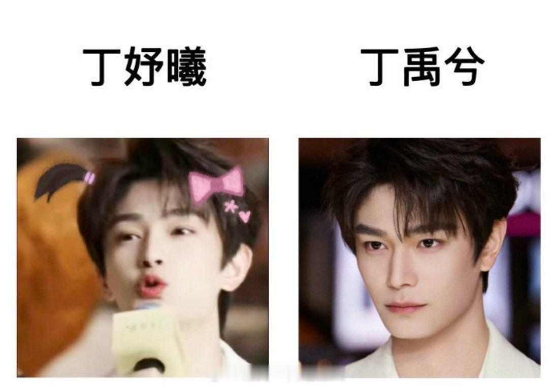 丁禹兮：你们就这样宣传我哈哈哈哈哈，高智的正主吸引了一群非常有才华的小海棠