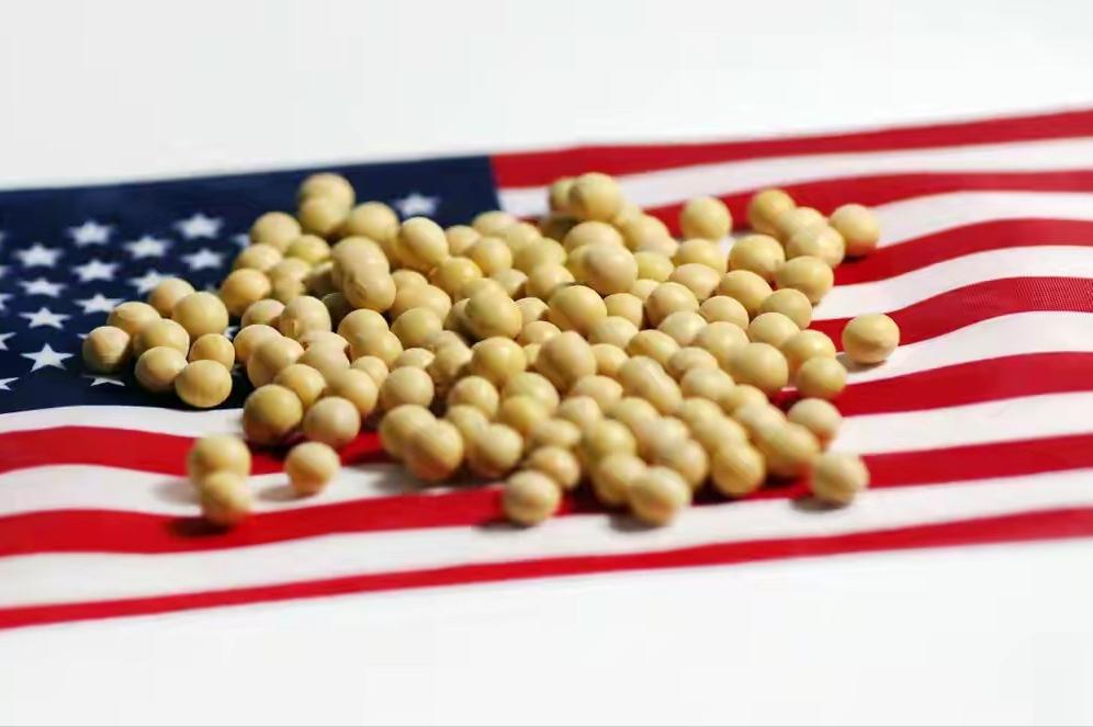 让美国人最恐惧的其实不是几粒大豆，而是整个大豆冲突中中国人的沉默态度！美国媒体