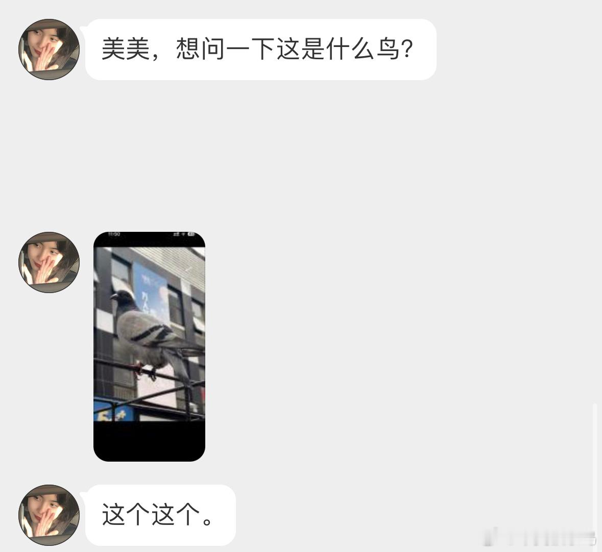 填空题环节～（）子！这下都会了吧？