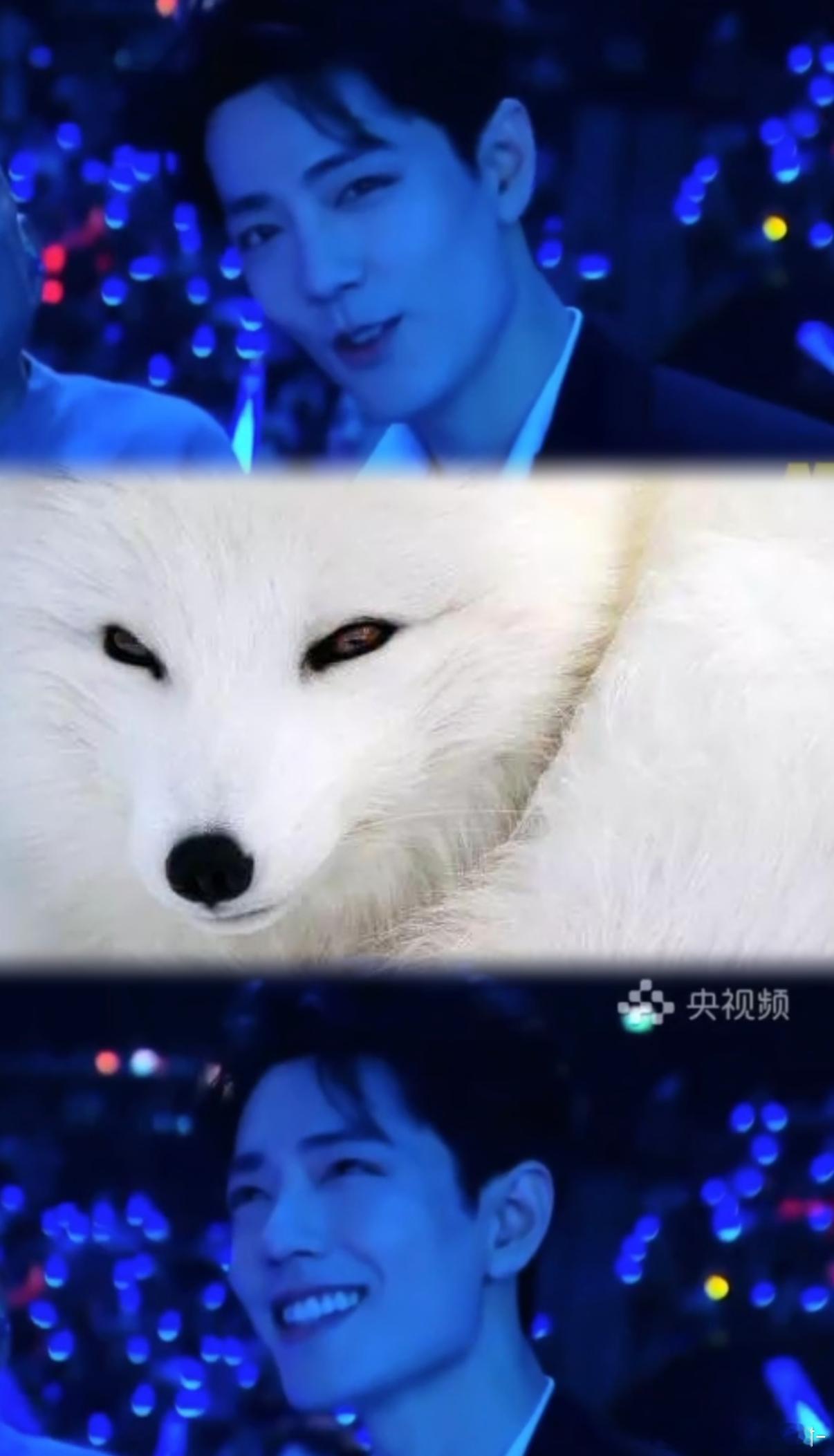 质疑纣王，理解纣王，羡慕纣王肖战不仅是男狐狸精还是九尾狐级别的[爱心][舔屏