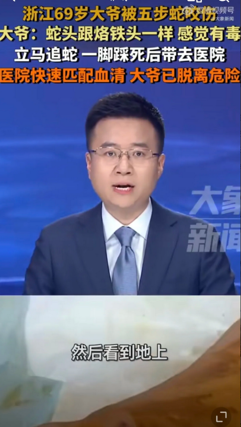 浙江69岁大爷让蛇咬了，他看那蛇头像“烙铁”三角形，就穷追不舍的追上蛇，一脚碾死