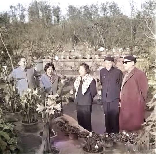 1964年春节期间，周恩来总理、邓颖超，与陈毅元帅、张茜夫妇一同游览成都杜甫草堂