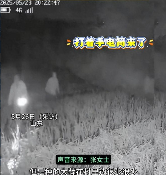 缺大德了！”山东烟台，一7旬老人开荒种大蒜，连续3年被偷，家人忍无可忍，就安装了
