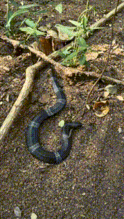 上帝约束我一秒只能动一下