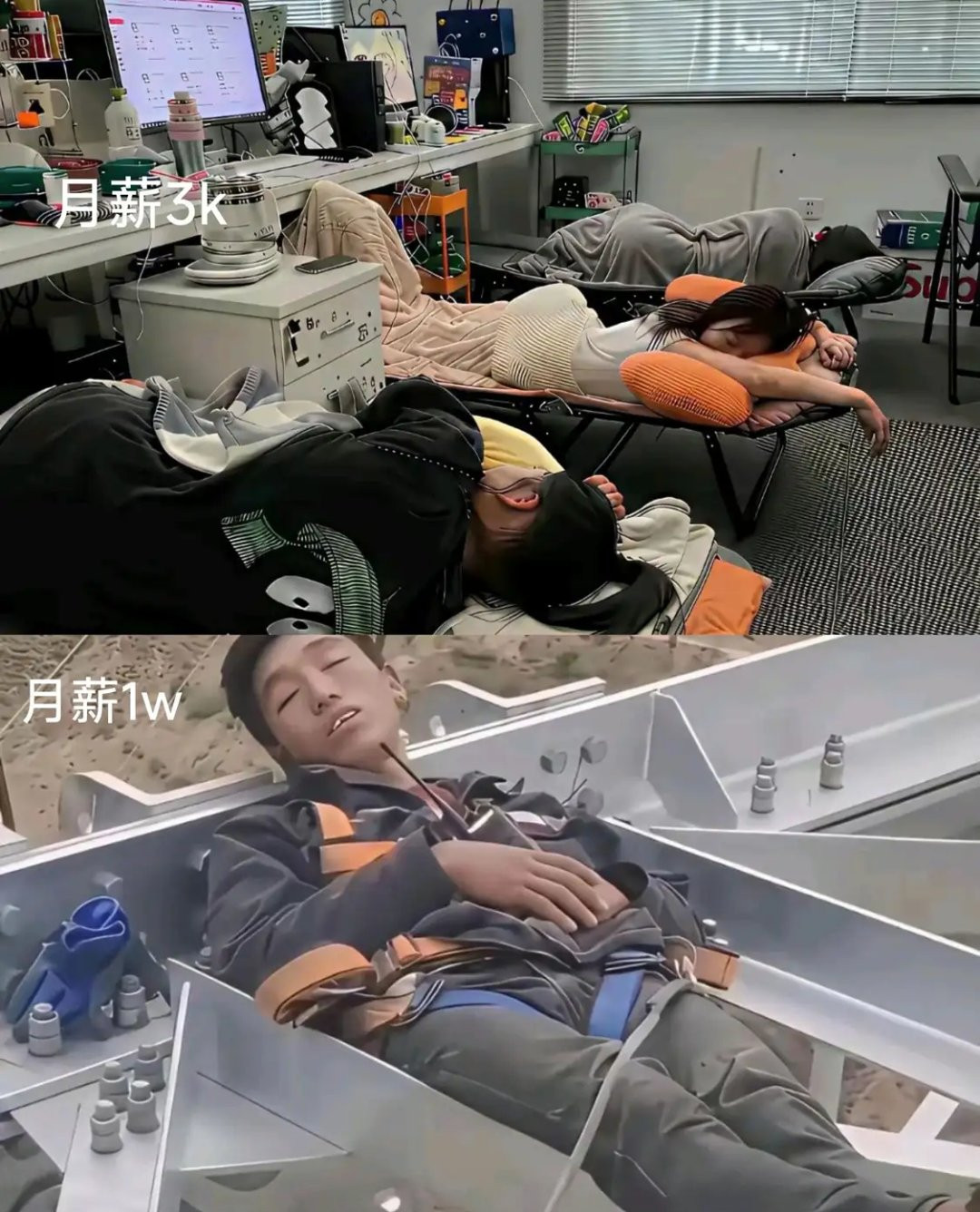 你会怎么选？