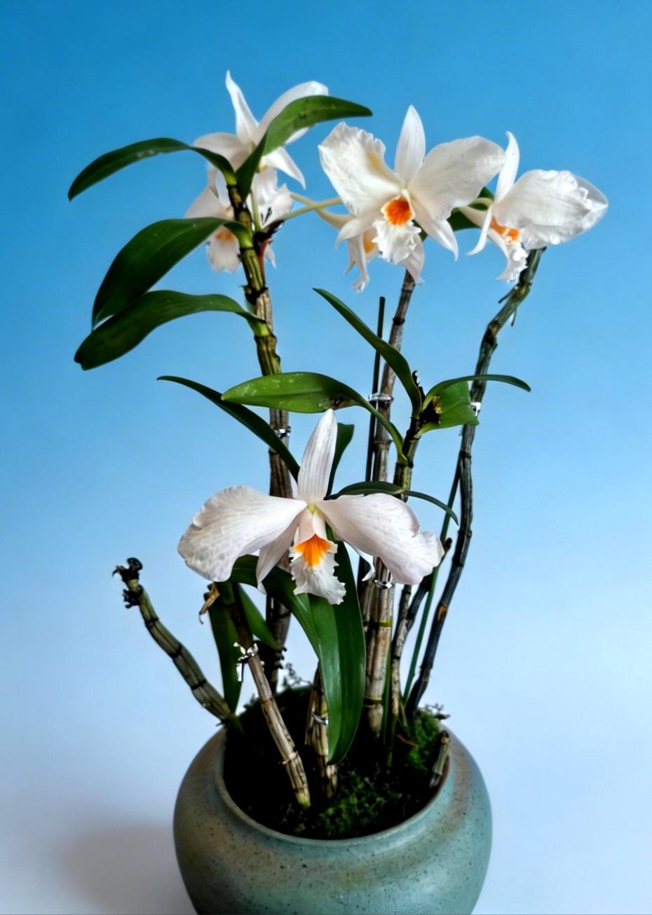 对于觉悟很强的大多数老师来说，各种制度的奖罚并不重要，而是那份对事业高度的责任心