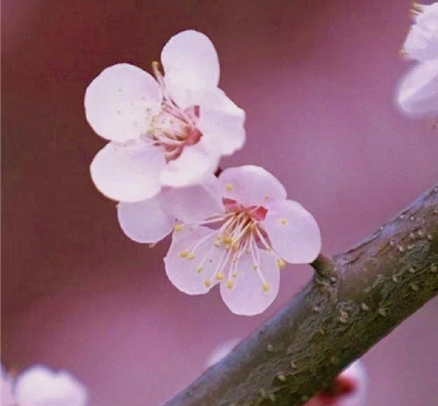 什么是处事圆滑的男人？1、不说硬话。2、不放狠话。3、不要当众指出别人