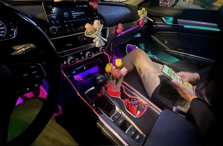 谁的副驾还没个黑丝小姐姐啊……