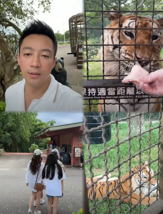 别争了，小玥儿用行动给出了答案，一目了然跟谁亲谁疏。小孩心里头没那么多弯