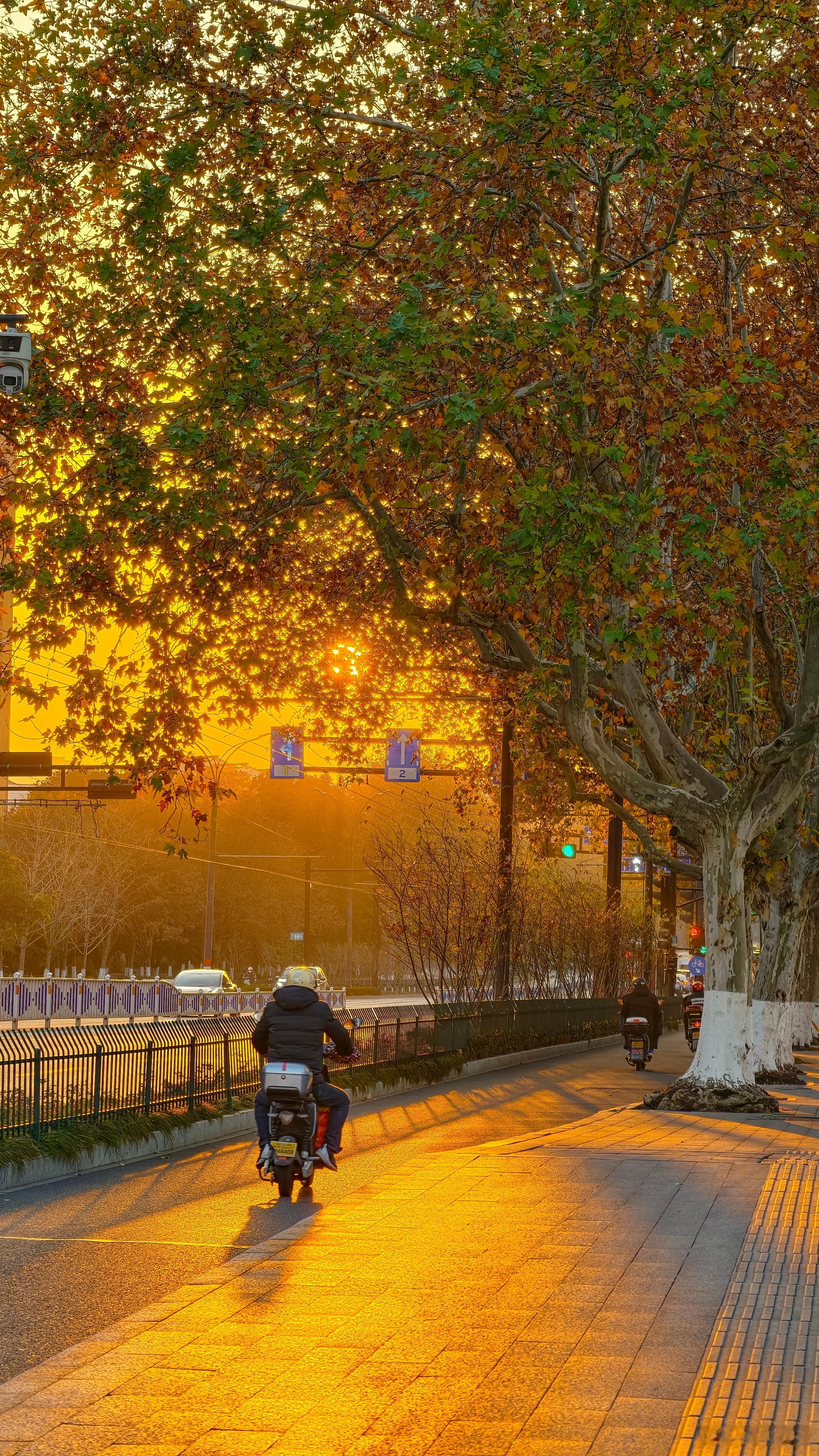 早安蜗的摄影日记