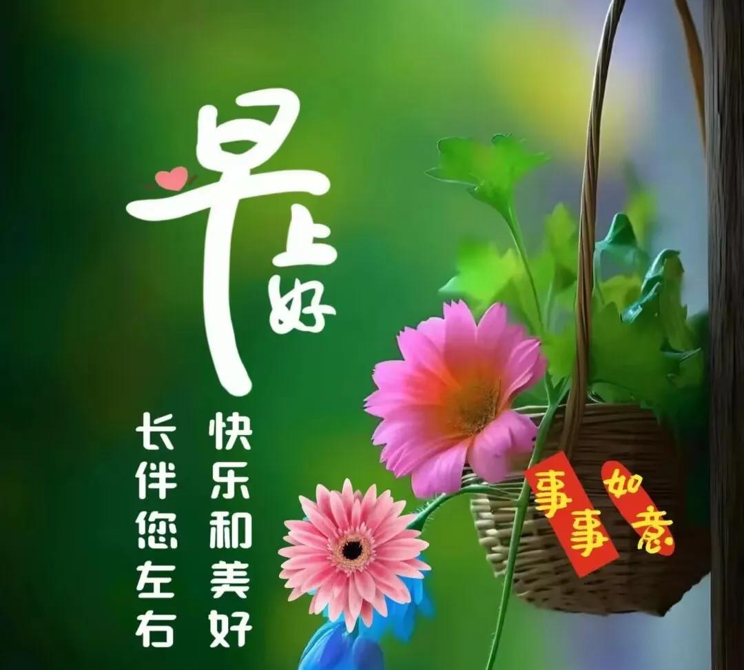 #分享每日早安吉祥心语#新的一天，阳光灿烂；新的问候，暖在每一天；每一个清晨，