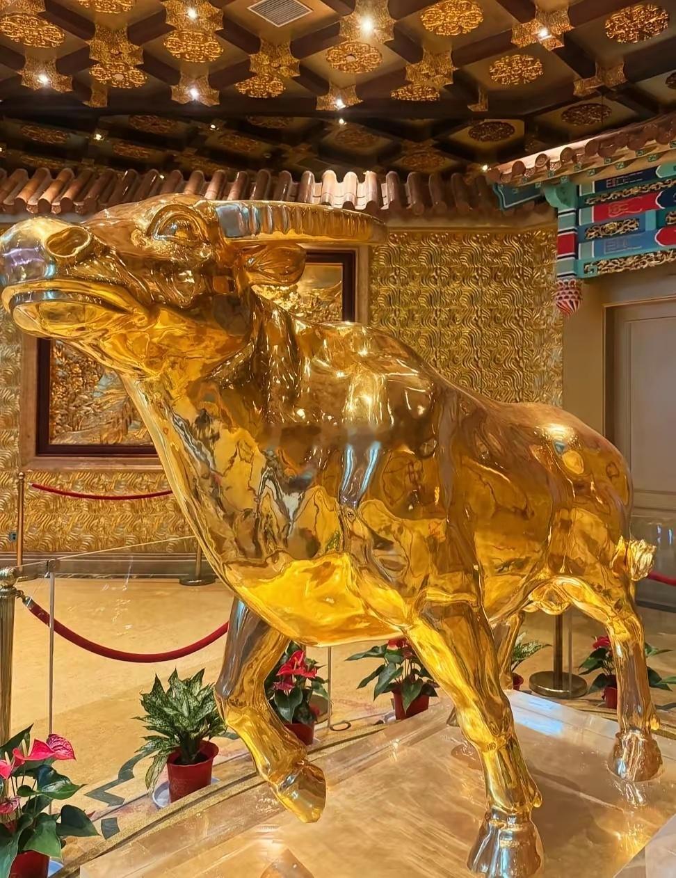 炒股笨方法才最香✅3步选1只稳票新手也能抄作业分享一个超靠谱的选股笨方法，不用