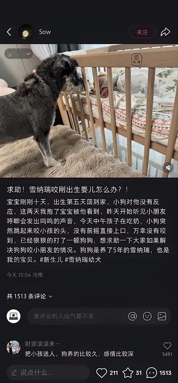 既然问出这种问题，证明你心里已经有答案了，还是把宝宝送出去吧，让雪纳瑞专享你的爱