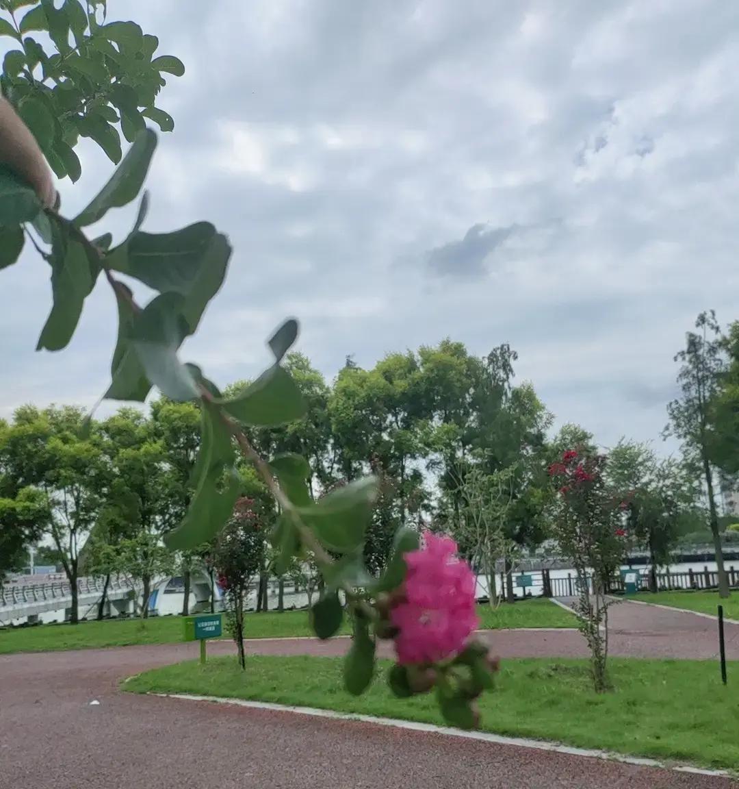 最多再过十年，大家就会看清一个真相:健康的源头，是土壤。早些年自家种的西红