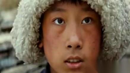 《生命树》里，这一幕真是绝了。一个半大孩子，梗着脖子跟亲爹闹别扭，被个好心大姐