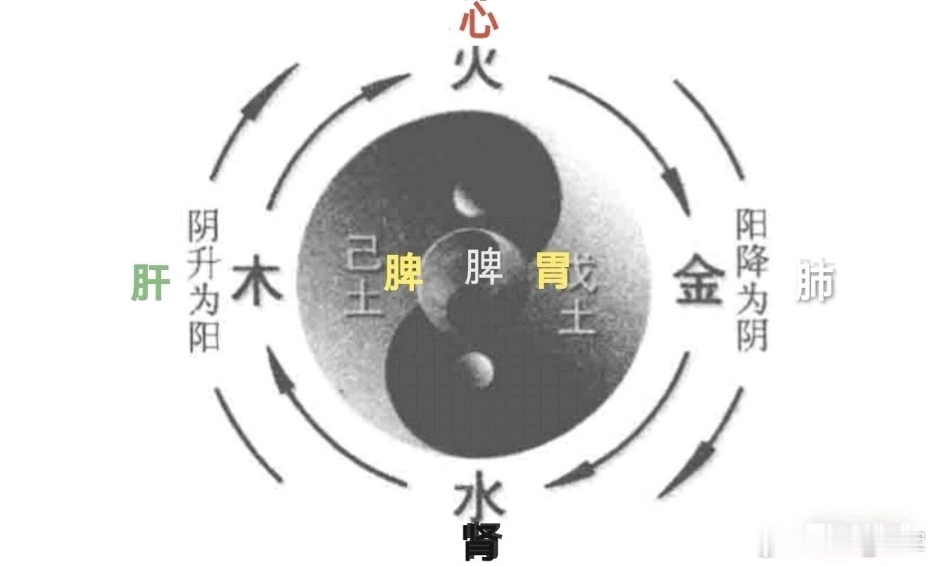 天地无极生太极，太极生两仪。混沌分而天地开。清气上升成天，浊气下沉成地。“升”，