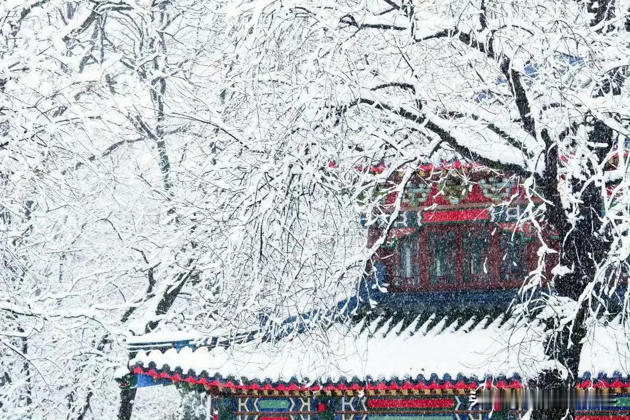 金陵雪落，邂逅一场千年诗意一下雪，南京就成了金陵。雪天的南京，像是被岁月按