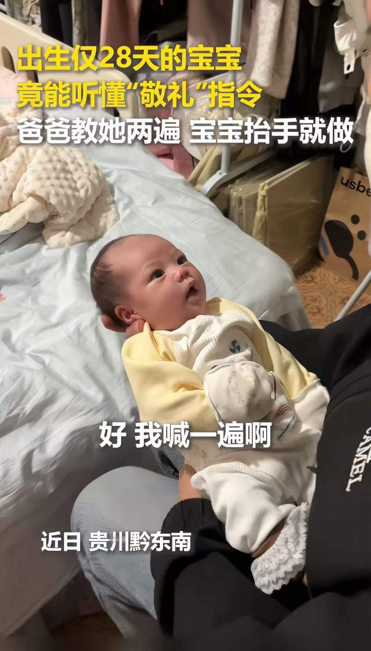 这条新闻一经曝光，瞬间点燃了无数人的热情与思考。28天的婴儿，竟然能听懂“敬礼”