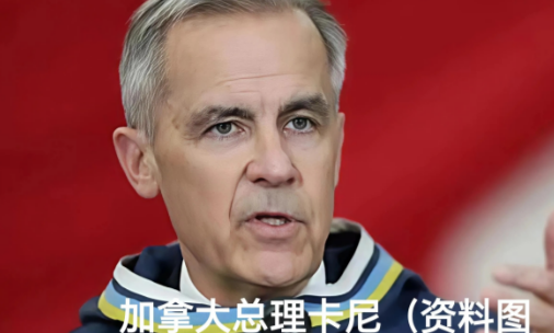 加拿大不敢硬刚美国，宣布对华加征25%的关税，结果中方转手就将37亿美元订单给了