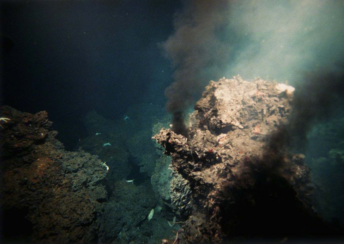 6600万年前，一颗小行星撞上地球，干掉了所有非鸟类恐龙。但这次撞击留下的坑，并