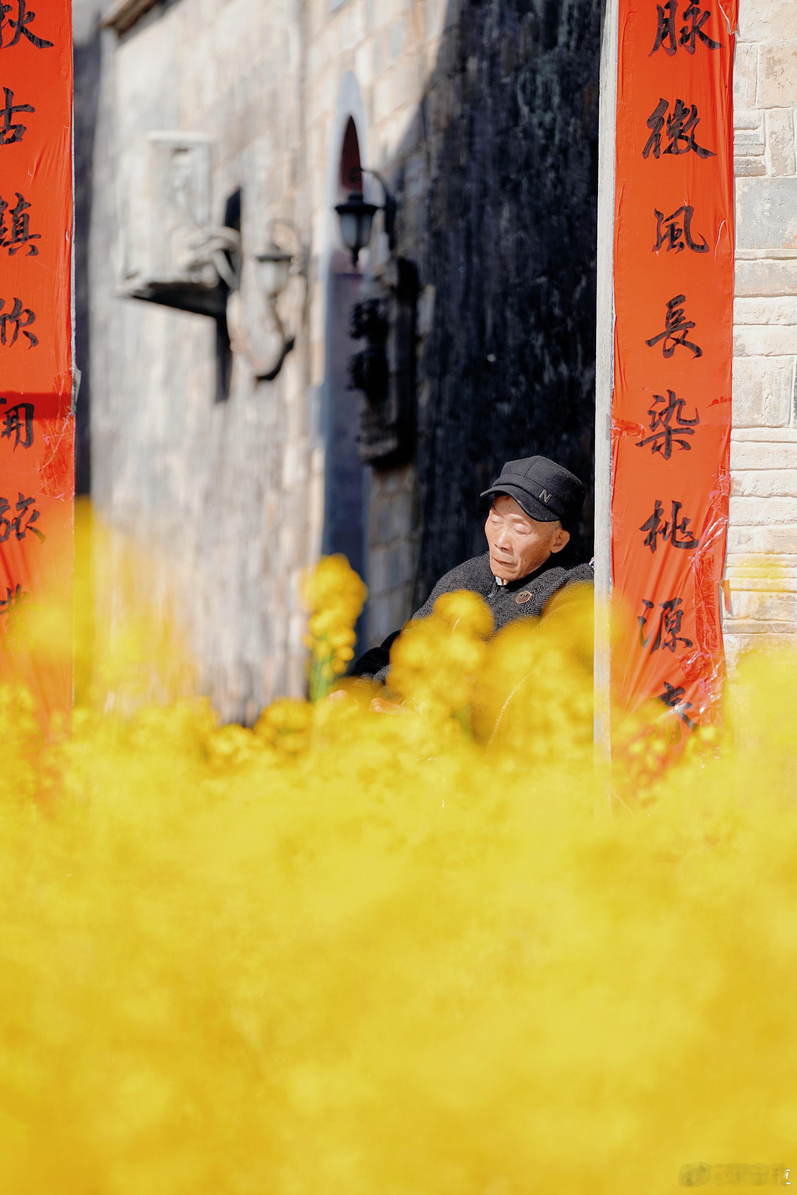 花开神州春意浓从二月的梅花、二月兰、油菜花，到三月的玉兰、紫叶李、郁金香、樱花、