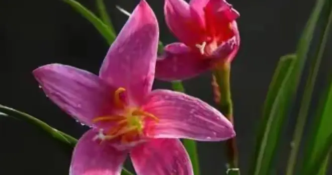 善良之人自带福报：3个不经意的幸运迹象