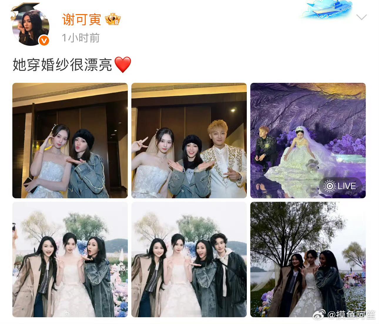 确实[捂脸哭][捂脸哭][捂脸哭]谢可寅她穿婚纱很漂亮​​​