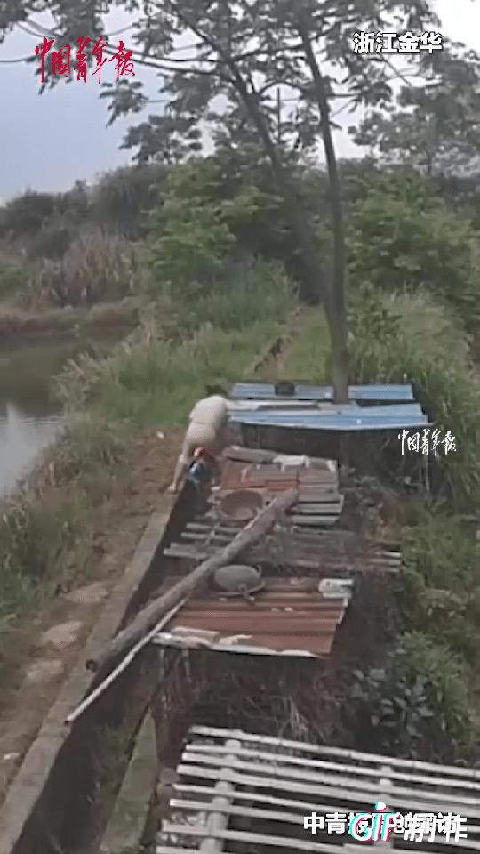 “这是上辈子拯救了银河系吧！”浙江金华，一女子喂狗的时候，突然一道闪电从天而降，