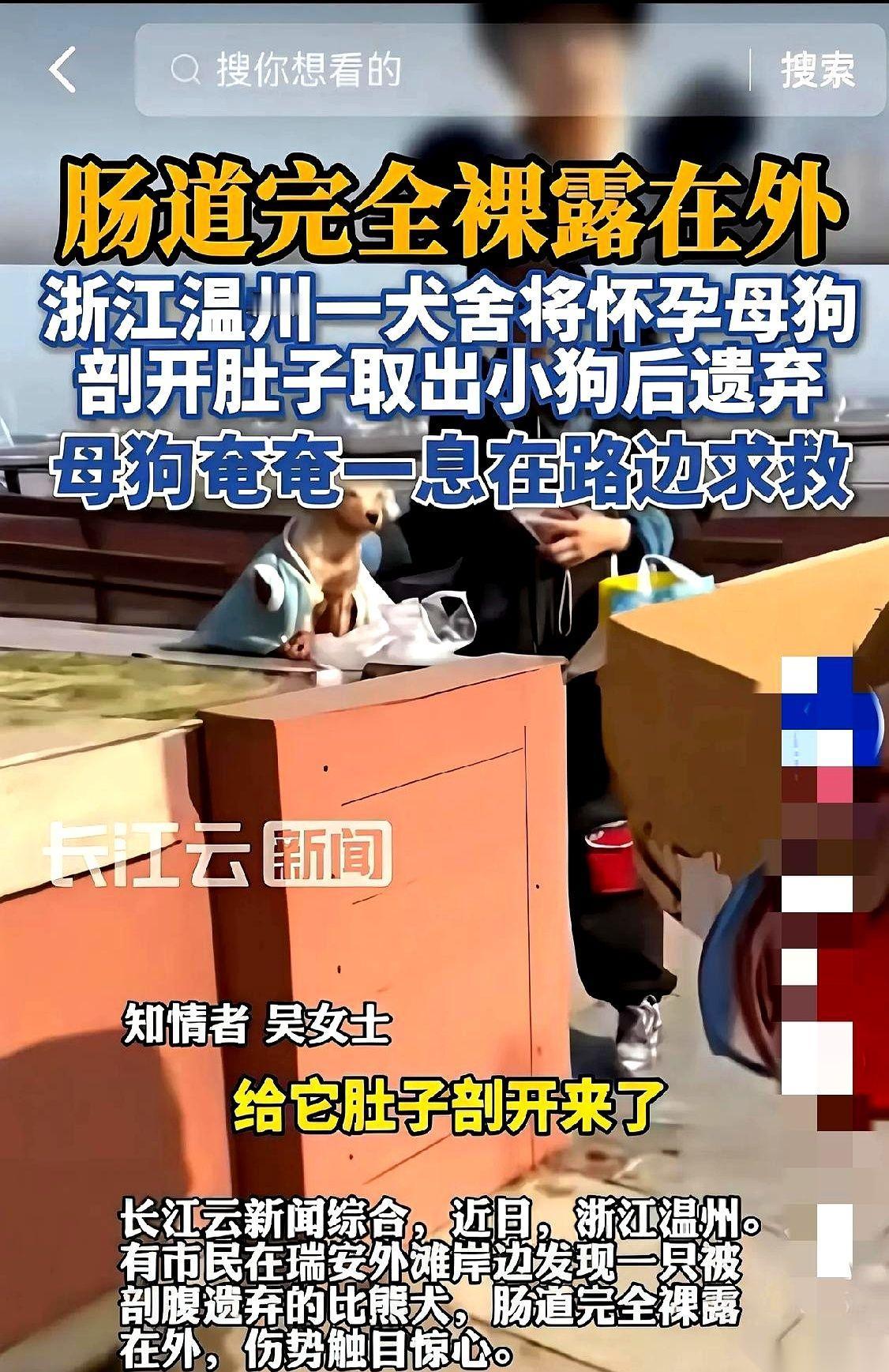 他自己动的手。活活把肚子剖开，没打麻药，把小狗掏出来。然后，像扔一袋垃圾一样