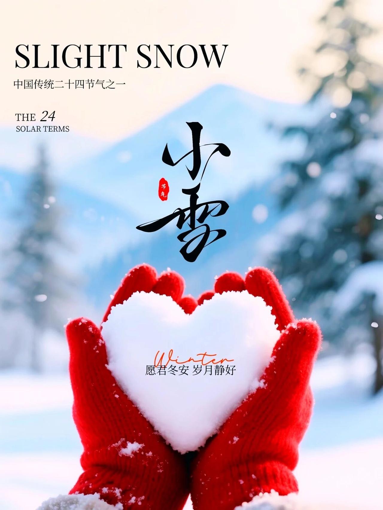 今日小雪你在北方的寒夜里大雪纷飞我在南方的艳阳里四季如春春花。夏风。秋