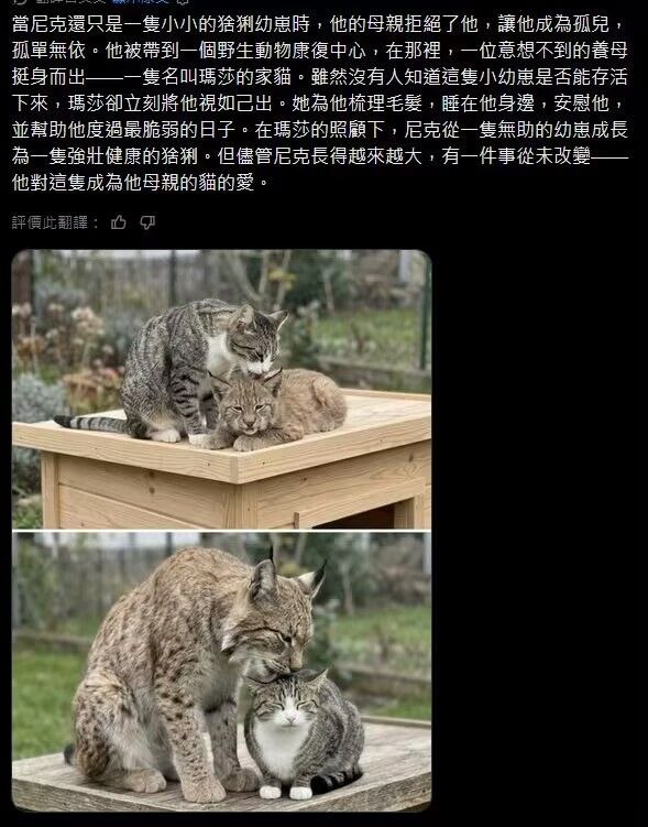 我长大了