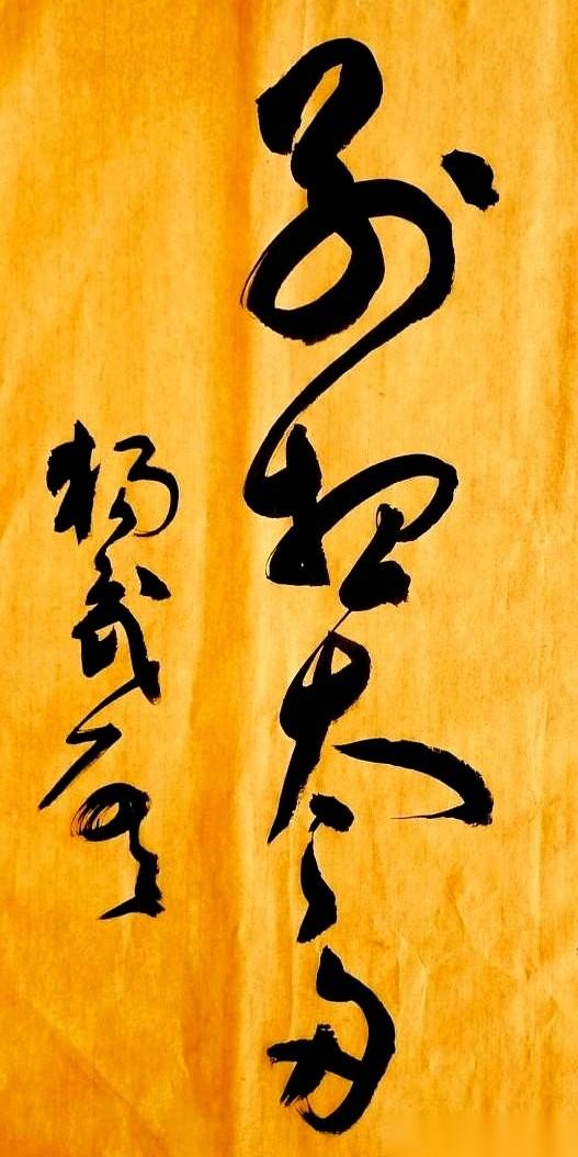 就一张书法，五个大字，我直勾勾地盯了足足三分钟。眼睛都快看花了，才勉强从一堆龙