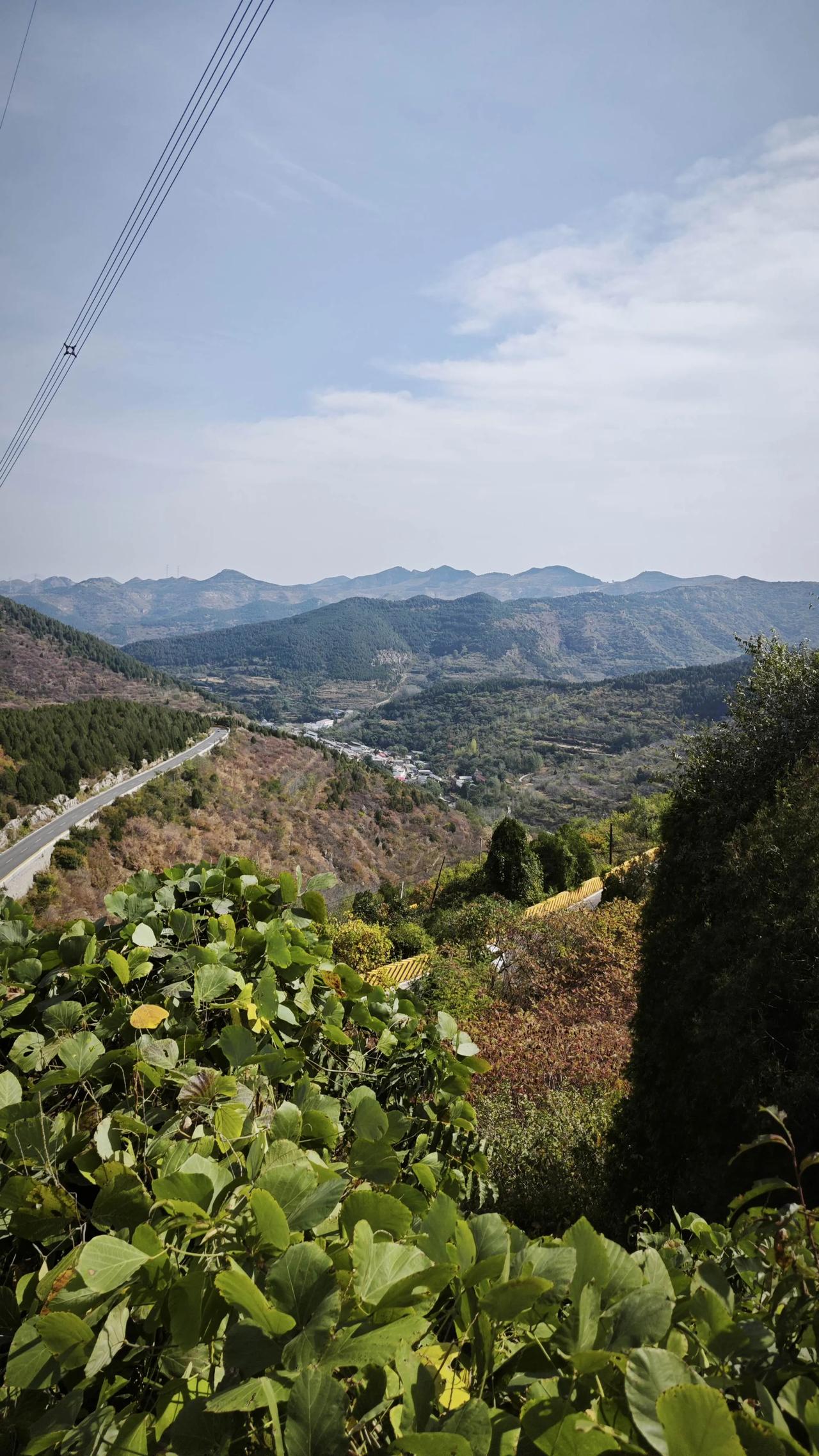 张至顺道长：年老人高血压，糖尿病，根本就不是病我是“高等教育文摘”，深耕教育