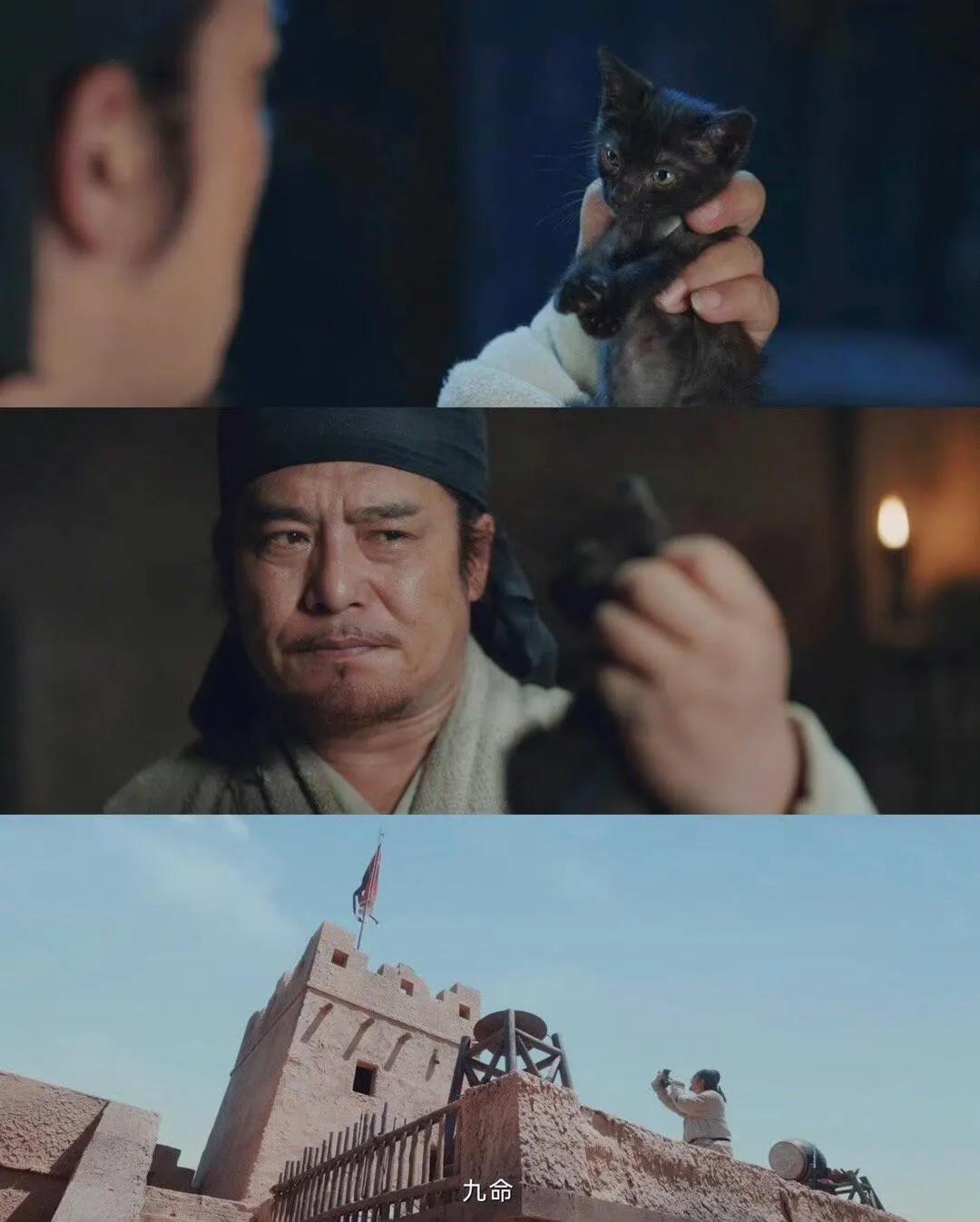 网友提问在《无忧渡》中一切重置后，诸多妖的结局都有了改变，可九命却依旧逃不过死亡