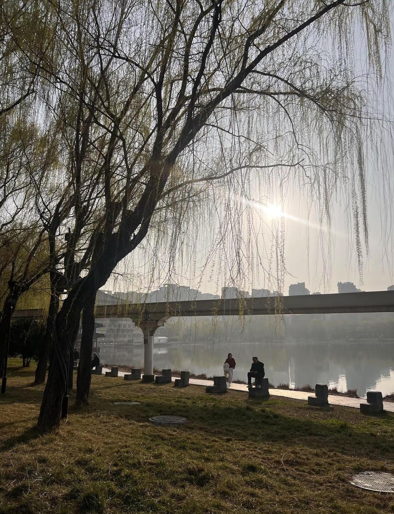 满分天气💯西安