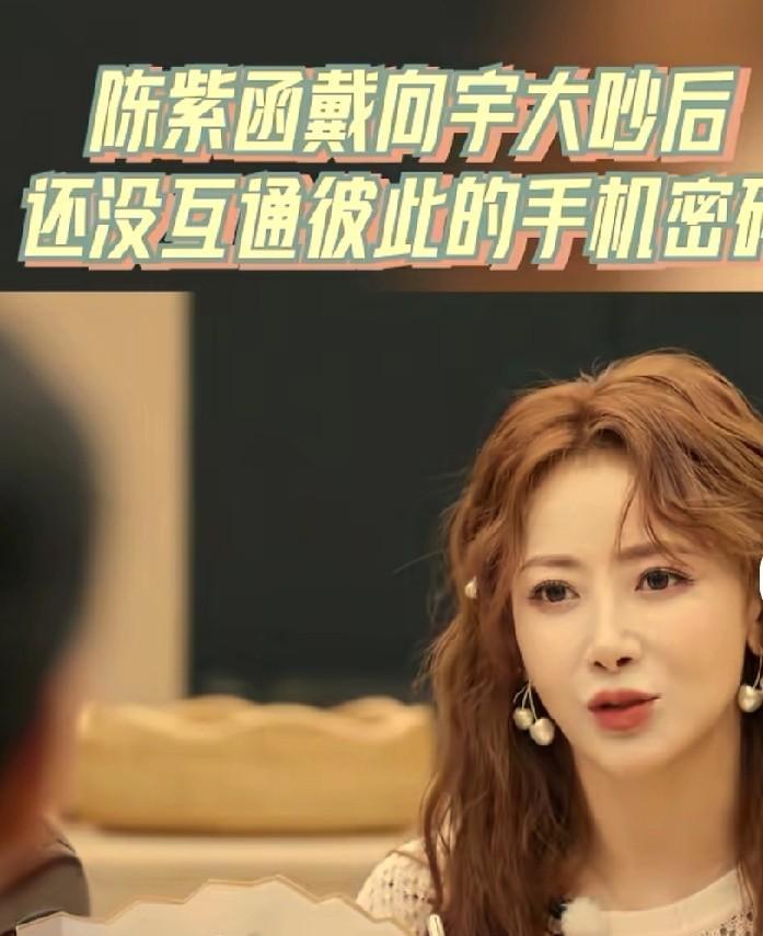 陈紫函在节目中诉苦曾为了孩子试管12次，戴向宇也曾表示过自己是丁克不要孩子也可以