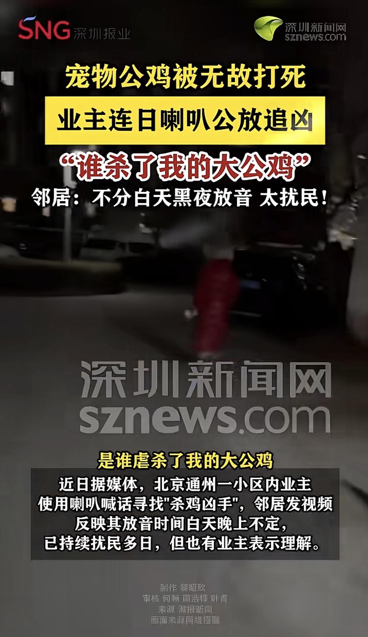 北京，一女子发现自己养的大公鸡在小区公共区域被打死了，她崩溃不已，为了找出杀鸡之