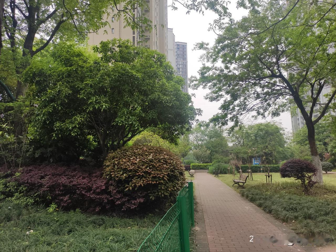 子宫肌瘤中度贫血血红蛋白76，调理快两个月气血强了很多，开心不已。3月初月经量