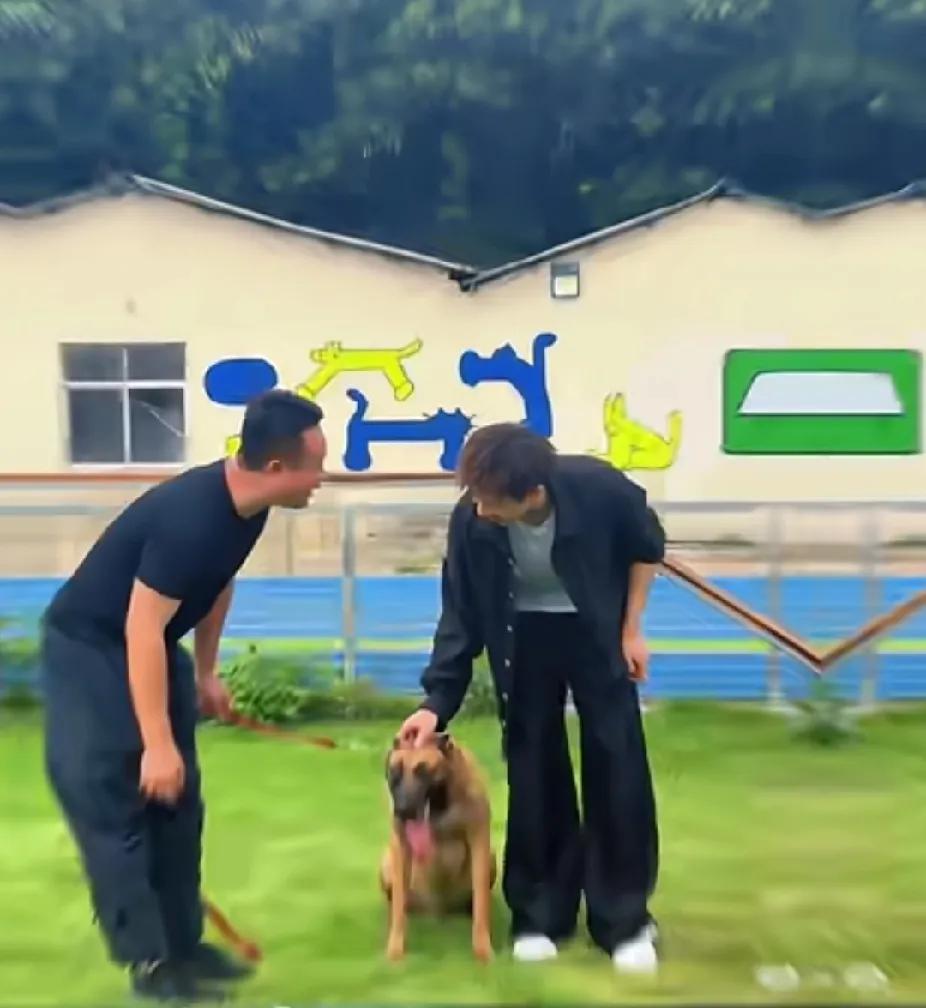 被林高远和狗狗这组图暖到啦🐶谁懂！刷到林高远和狗狗互动的照片，瞬间被治愈