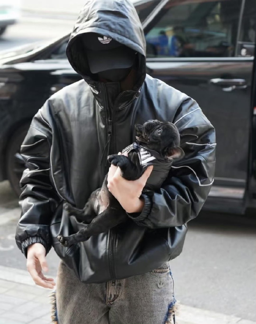 何与养狗了曝虞书欣何与确定二搭何与养狗了！黑色小法斗黑啤正式上线，上班搭子太可