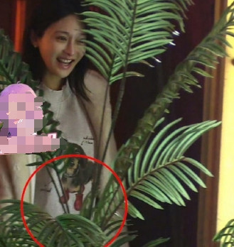 陈冰肚子关于"陈冰肚子"的热议，主要源于2025年12月29日八卦媒体拍到陈冰